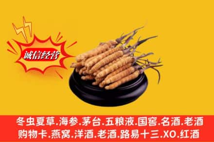 德钦县求购回收虫草多少钱每克